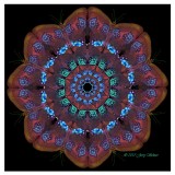 The Magic Choreography of Butterflies